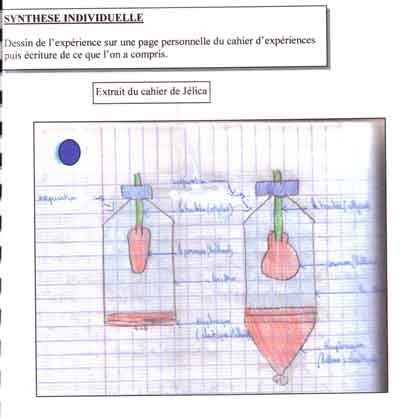 Modele de redaction cm1