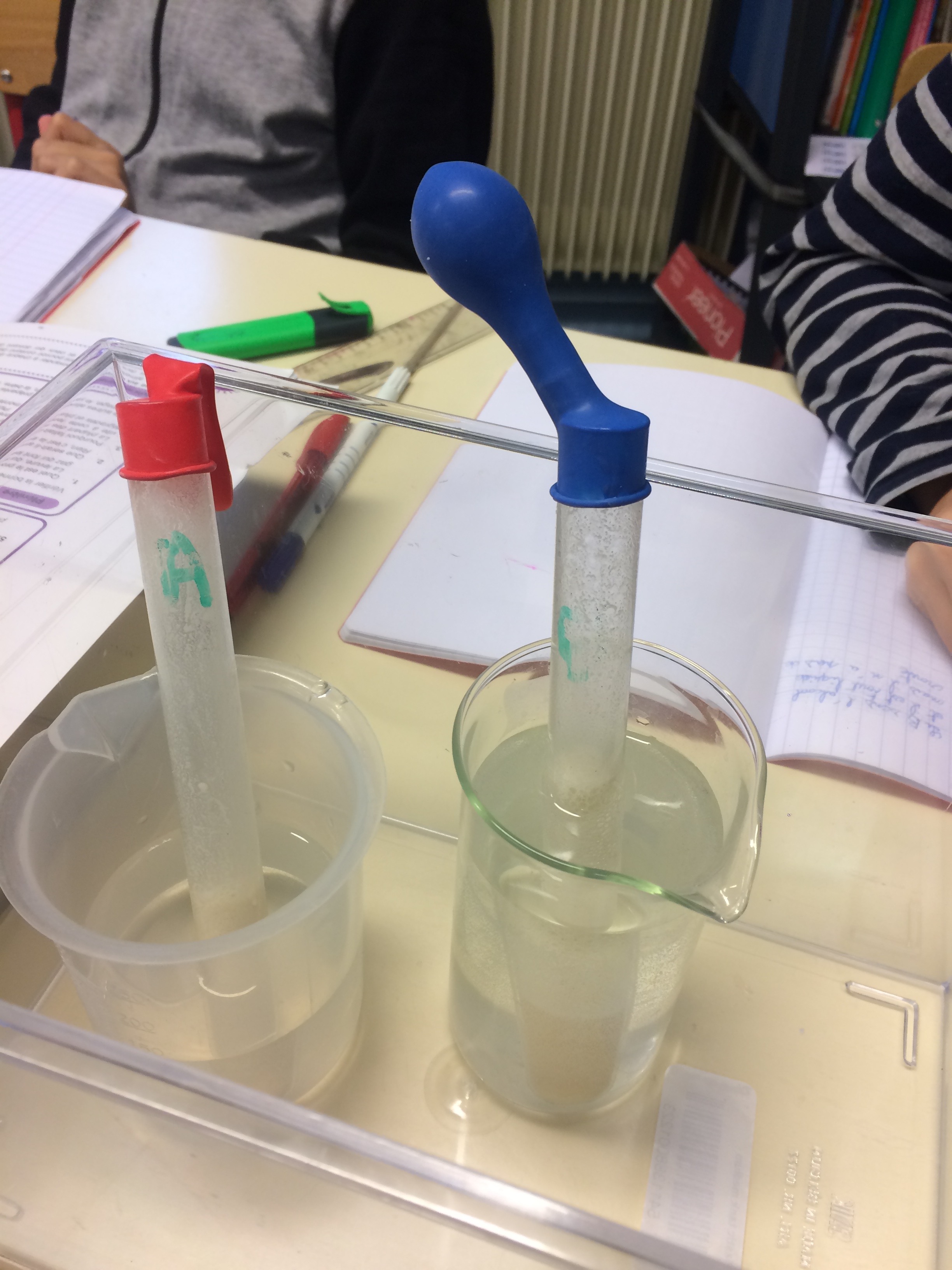 Sur les traces de Louis Pasteur