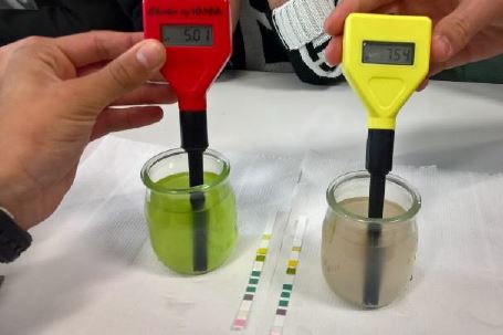 Le phytoplancton : modèle d’étude de l’impact de l’homme sur son environnement