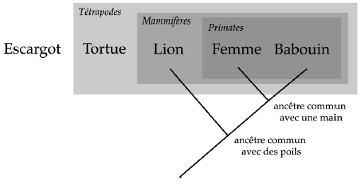 PDF les obsèques de la lionne problématique PDF Télécharger Download