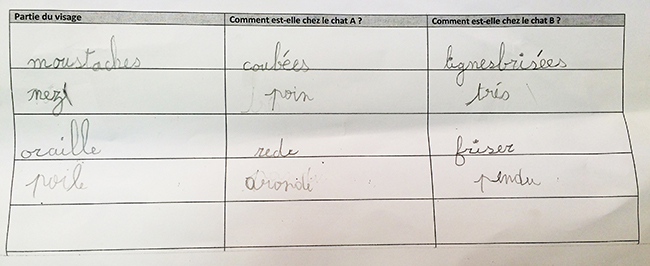 Portraits De Chats Le Site De La Fondation La Main à La Pâte