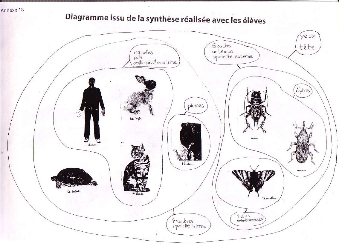 L'homme, un animal comme les autres | La Fondation La main à la pâte