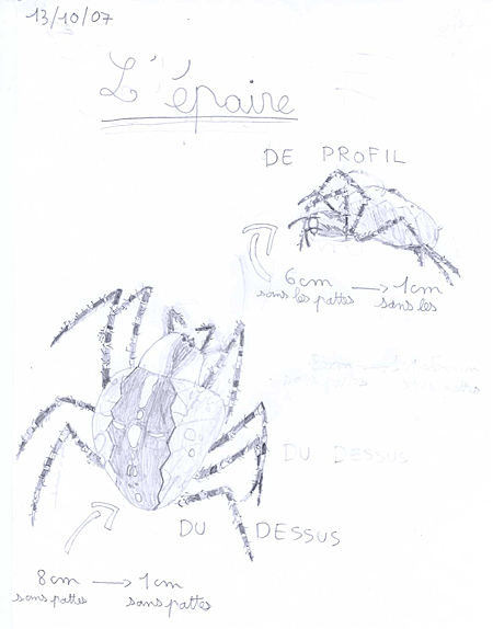 La Diversité Du Vivant Le Site De La Fondation La Main à