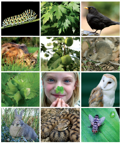 A L Ecole De La Biodiversite Le Site De La Fondation La Main A La Pate