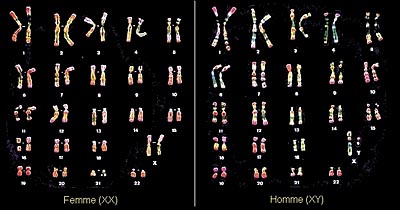 Biologie animale : fonctions de reproduction | Le site de la Fondation ...